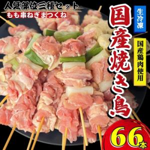 ふるさと納税 小松島市 焼き鳥 セット 66本 もも つくね ねぎま 鶏肉 やきとり 串焼 チキン ...