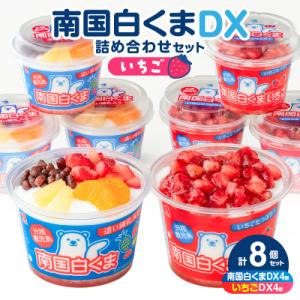 ふるさと納税 鹿児島市 【 数量限定 】セイカ食品 南国白くまDX・南国白くまDX(いちご味)詰め合わせセット