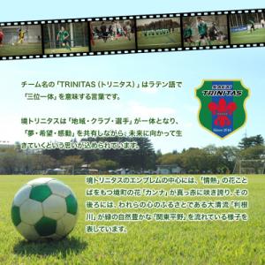 ふるさと納税 境町 【5日以内発送】 境トリニ...の詳細画像3