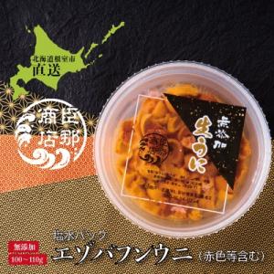 ふるさと納税 根室市 ＜12/17まで年内配送＞エゾバフンウニ(赤色等含む)塩水パック100〜110...