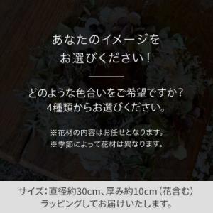 ふるさと納税 糸島市 【選べる4タイプ】ドライ...の詳細画像1