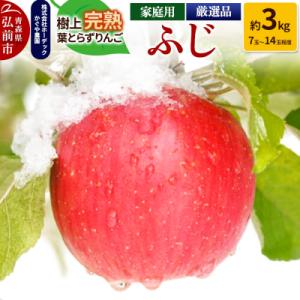 ふるさと納税 弘前市 りんご ふじ 約3kg(7玉〜14玉程度)樹上完熟葉とらず【家庭用】|24_h...