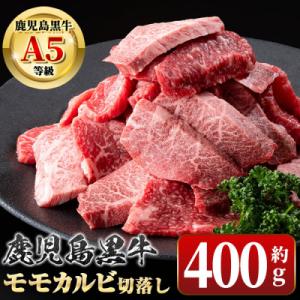 ふるさと納税 肝付町 &lt;期間限定&gt;鹿児島黒牛 モモ カルビ 切落し 焼肉用 (約400g)　A010...