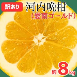 ふるさと納税 愛南町 訳あり 愛南ゴールド ( 河内晩柑 ) 8kg みかん グレープフルーツ 愛媛...