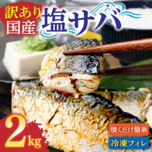 ふるさと納税 土佐清水市 訳あり 国産 塩サバ 切り身 約2kg(約12枚)味付き・冷凍【R01519】