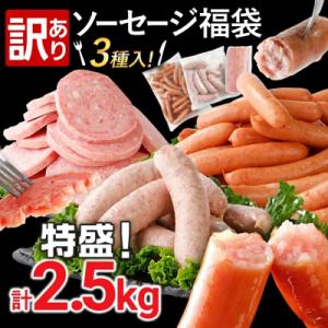 ふるさと納税 古賀市 訳あり!ソーセージ食べ比べまんぷく福袋 合計2.5kg