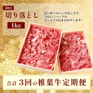 ふるさと納税 椎葉村 【 定期便 3回 】 総...の詳細画像2