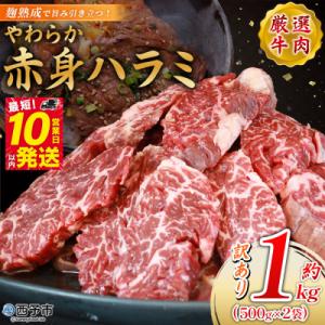 ふるさと納税 西予市 <麹熟成で旨み引き立つ!やわらか赤身ハラミ 約1kg(500g×2)> 訳あり はらみ ハラミ 赤身｜Yahoo!ふるさと納税