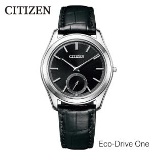 ふるさと納税 妙高市 【CITIZEN】エコ・ドライブ ワンAQ5010-01E