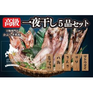 ふるさと納税 広尾町 干物専門店かぶらぎ水産の高級一夜干し5品セット(J0032)