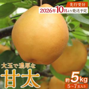 ふるさと納税 角田市 【2026年発送/先行予約】梨「甘太」約5kg(5〜7玉入)【松崎果樹園】
