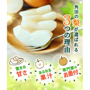 ふるさと納税 角田市 【2026年発送/先行予...の詳細画像1