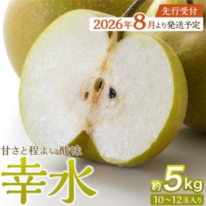 ふるさと納税 角田市 【2026年発送/先行予約】梨「幸水」約5kg(10〜12玉入)【松崎果樹園】