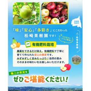 ふるさと納税 角田市 【2026年発送/先行予...の詳細画像2