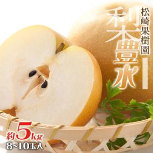 ふるさと納税 角田市 【2026年発送/先行予約】梨「豊水」約5kg(8〜10玉入)【松崎果樹園】