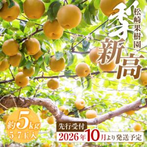 ふるさと納税 角田市 【2026年発送/先行予約】梨「新高」約5kg(5〜7玉入)【松崎果樹園】