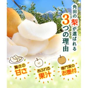 ふるさと納税 角田市 【2026年発送/先行予...の詳細画像1