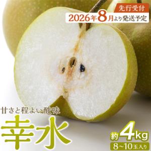 ふるさと納税 角田市 【2026年発送/先行予約】梨「幸水」約4kg(8〜10玉入)【松崎果樹園】
