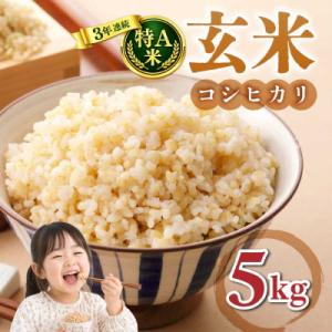 ふるさと納税 東御市 玄米5kg 【冷めても美味しいコシヒカリ】|最短4〜7日程度でお届け　※着日指定不可【小田農園】