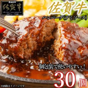 ふるさと納税 太良町 佐賀牛デミハンバーグ真空個包装 30個 PA10