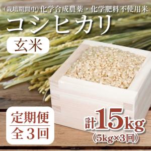 ふるさと納税 小松島市 【令和7年産新米】玄米 定期便 3回 米 コシヒカリ 計15kg 5kg ×...