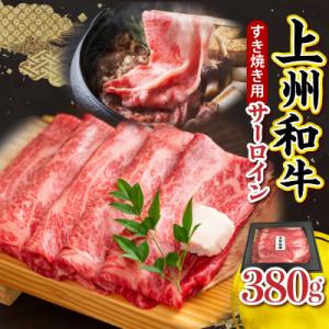ふるさと納税 千代田町 上州和牛(サーロイン)すきやき・焼肉用　380g