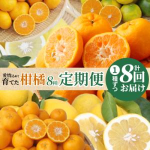 ふるさと納税 天草市 【定期便8回】天草 下浦地区の農家が愛情込めて育てた柑橘8種食べ尽しコース_S...