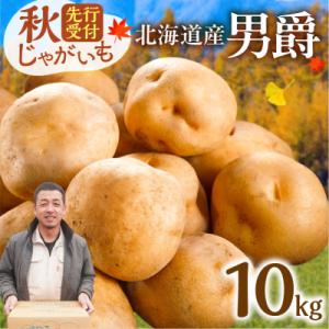ふるさと納税 清水町 10月より発送開始!ホクホク食感が魅力の「男爵いも」10kg