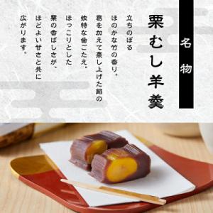 ふるさと納税 小松市 月よみ山路 栗むし羊羹 ...の詳細画像1