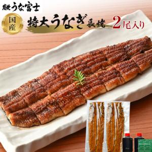 ふるさと納税 名古屋市 炭焼うな富士 国産特大うなぎ長焼二尾入り