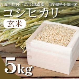 ふるさと納税 小松島市 【令和7年産先行受付】玄米 5kg コシヒカリ  令和7年産 米 こめ ご飯 ごはん