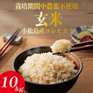 ふるさと納税 小松島市 【栽培期間中農薬不使用】玄米 10kg コシヒカリ  令和7年産 米 こめ ご飯 ごはん