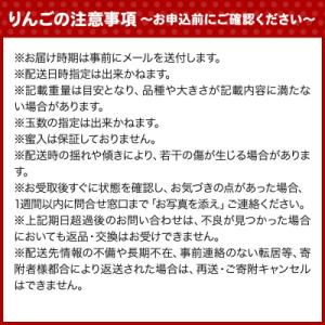 ふるさと納税 弘前市 【26年12月発送】りん...の詳細画像1