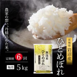 ふるさと納税 岩沼市 【先行予約6ヶ月定期便】令和7年産新米 ひとめぼれ 5kg×6 無洗米[No.5704-1218]