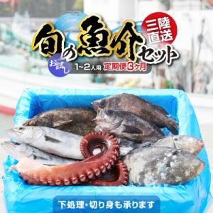 ふるさと納税 陸前高田市 【3ヶ月定期便】三陸海の恵み詰め合わせ 1〜2人用 下処理済 旬 鮮魚 海...