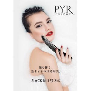 ふるさと納税 甲府市 「造形美」美顔器 LIN...の詳細画像1
