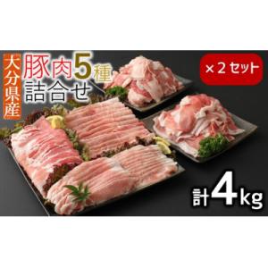 ふるさと納税 臼杵市 小分けされてるから便利♪大分県産 豚詰め合わせ5種(約4kg)  豚肉 小分け...