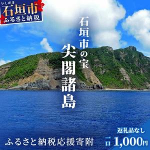 ふるさと納税 石垣市 【返礼品なし】A2:A16石垣市の宝「尖閣諸島」資料収集及び情報発信等事業 の為の寄附(1000円)