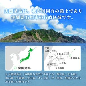 ふるさと納税 石垣市 【返礼品なし】A2:A1...の詳細画像1