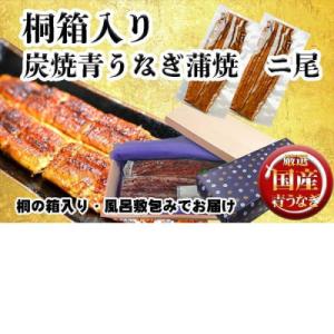 ふるさと納税 名古屋市 桐箱入り 炭焼うな富士国産青うなぎ長焼二尾