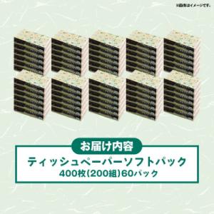 ふるさと納税 甲佐町 ティッシュペーパーソフト...の詳細画像3
