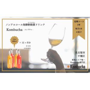 ふるさと納税 名古屋市 美味しく楽しめる!+KombuchaのKombucha1年定期コース