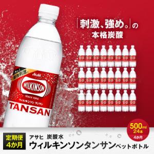 ふるさと納税 名古屋市 【定期便4回】アサヒ 炭...の商品画像