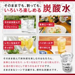 ふるさと納税 名古屋市 【定期便4回】アサヒ ...の詳細画像3
