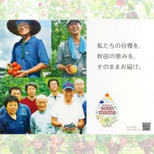 ふるさと納税 羽後町 定期便3ヵ月 りんごジュ...の詳細画像3