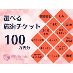 ふるさと納税 名古屋市 美容医療　脱毛・美肌　選べる!施術100万円分【組み合わせ自由】まゆりなclinic名古屋栄