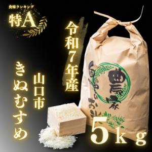 ふるさと納税 山口市 農家直送!山口市産新米「きぬむすめ」精米5kg D395