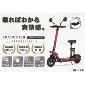 ふるさと納税 名古屋市 【原付一種】折りたたみ可能な電動キックボード!EV SCOOTER(EVスクーター) ワインレッド