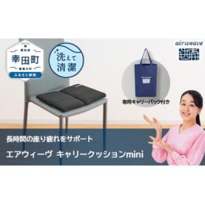 ふるさと納税 幸田町 エアウィーヴ キャリークッ...の商品画像
