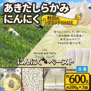 ふるさと納税 大館市 あきたしらかみにんにく 冷凍ペースト600g
